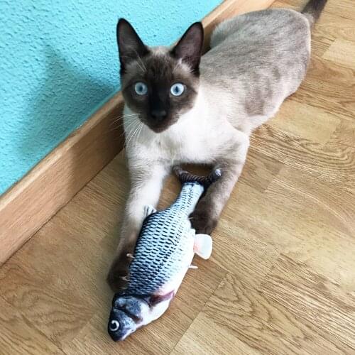 Electric Dancing Moving Floppy Fish Pet Chewing Playing Toy Cat Interactive Doll Simulation Fish Toy Pet Cat Toy USB Charging