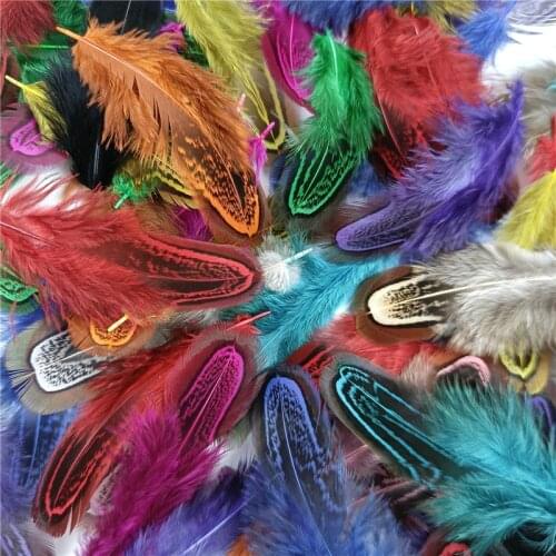 100Pcs/Lot Colored Pheasant Ringneck Feathers Natural 4-8cm/1.6-3.2 " Feather Trim Diy Accessories Plumes Decoration for Crafts