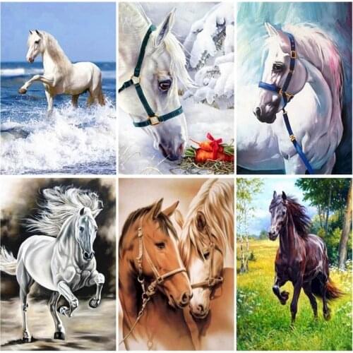 DIY White Horse Oil Painting By Numbers Set Color Drawing On Canvas Paint By Number Artworks Home Decortion Gift Kits For Adults