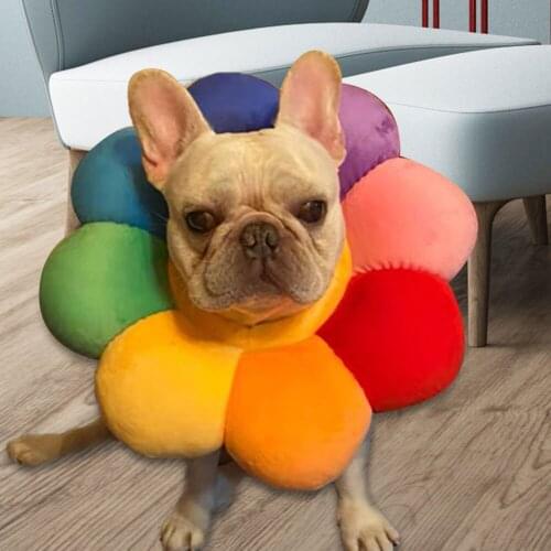 Peitten 