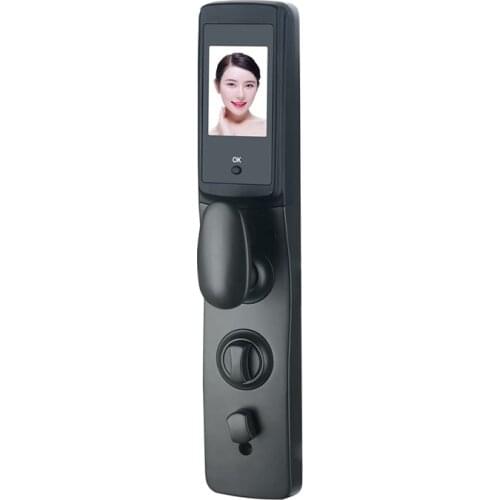 QLEUNG S921max Fully Automatic Intelligent Lock With Peephole Camera WIFI Fingerprint Password Card Key Smart Door Lock