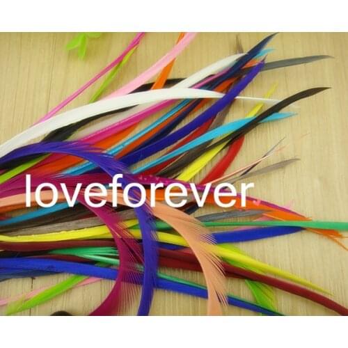 Dyed Single Feather Hair Extension Acc Dyed Single Goose Biots Loose Feathers for Fascinators Sinamay Hat Mask Free Shipping
