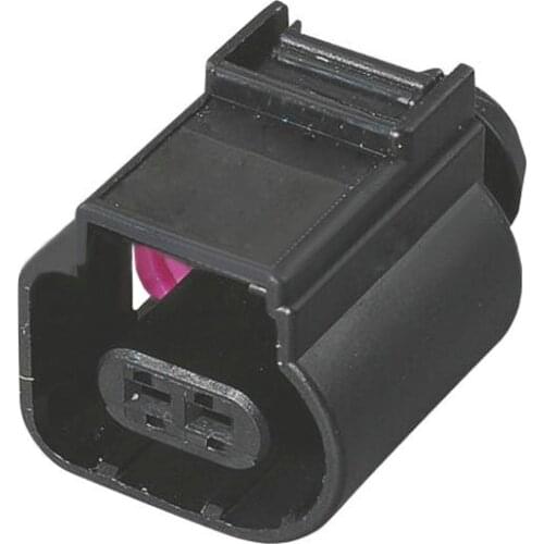 2 Pin DJ7022B-1.5-21 Female 1.5mm Auto Temp Sensor Plug Deflation Valve Plug Waterproof Connector with Terminal