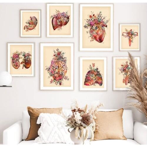 Flower Anatomy Brain Heart Lung Kidney Uterus Nordic Posters And Prints Wall Art Canvas Painting Wall Pictures For Doctor Decor