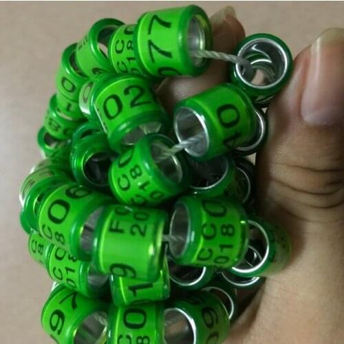 2020 pigeon rings bird ring print 2020 FCI 000001-005000