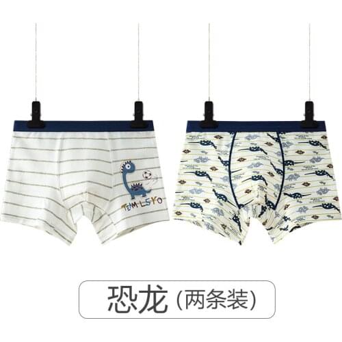 DancingBear Underwear For Boys