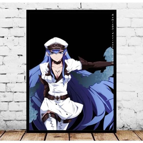 Akame ga KILL Japanese Anime Posters Silk Art Painting Wall Art No Frame
