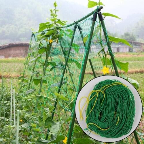 Durable Nylon Vegetables Grow Trellis Net multi-strand Vine Cucumber bean planting net for climbing plants
