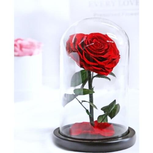 New Beauty and The Beast Roses Heart Shape Real Preserved Flowers In Glass Dome Valentines Day Wedding Christmas Birthday Gifts