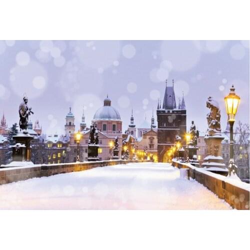 Beautiful City Snow Scene Backdrop Holiday Photography Background Celebration Photo Booth Studio Decor