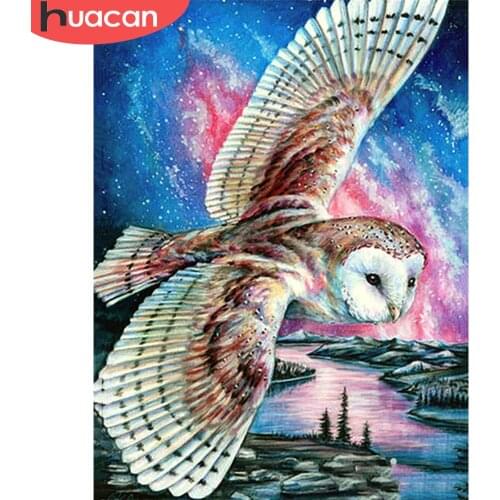 HUACAN 5D DIY Diamond Art Painting Owl Full Square Round Drill Needlework Diamond Mosaic Animal Handicraft Home Decoration