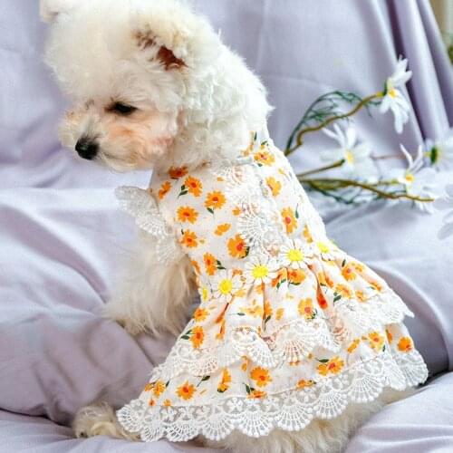 PETCIRCLE Dog Clothes Small Floral Lace Dress For Small Dog Puppy Pet Cat Summer Pet Cute Costume Pet Clothes Dog Skirt Shirt