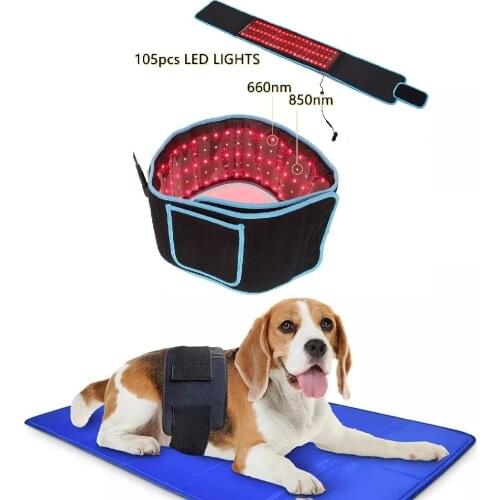 Pet Laser Treatment 660&850nm Red Light and Near-infrared Light Treatment Equipment Wearable Anti-Inflammatory to Relieve Pain