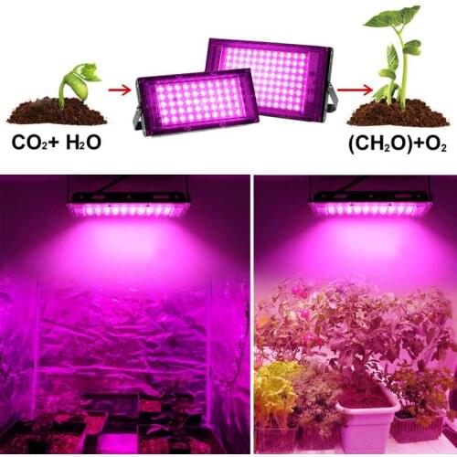 LED Grow Uv Lights Flower Seeds Panel 50W 100W Outdoor Floodlight Phytolamp For Indoor Tent Hydroponic Greenhouse Plants Lamp