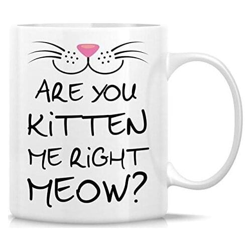 Funny Mug Are You Kitten Me Rigth Meow Cat Lover 11 Oz Ceramic Coffee Mug