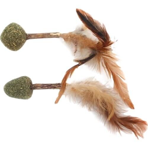 Cat Grass Ball Mutian Polygonum Cat And Dog Toy Cat Catnip Toy Molar Teeth Cleaning Soft Feather Interactive Toy