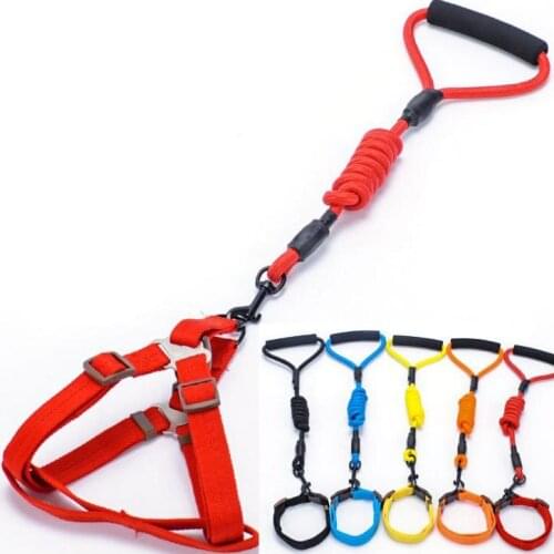 High Quality Dog Collar Set for Small Puppy Pet Dog Collars Adjustable Buckle Leash Dog-Collar Harness Chihuahua S/M/L Size