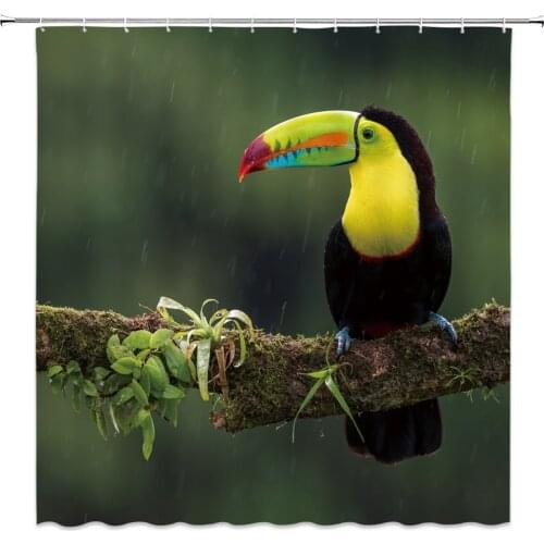 Funny Animal Shower Curtains Toucan Eagle Pet Dog and Cat Bathroom Decor Home Bath Bathtu Polyester Fabric Curtain Set Cheap