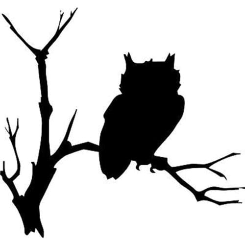 16CMX15CM Creativity on The Tree Owl Fashion Auto Decal PVC Heat-resistant Motorcycle Cars Window Sticker Decoration
