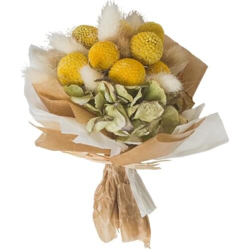 Dried Flowers Craspedia Yellow Billy Balls Rabbit Tail Grass Bouquet for Home Decoration Floral Arrangement Wedding Decor