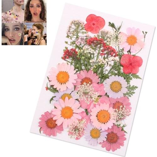 New Pressed Flower Mixed Organic Dried Flowers DIY Art Floral Decors Collection Gift SCI88