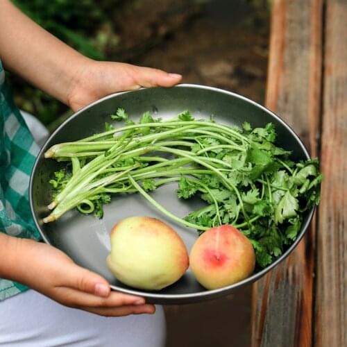 Lixada Titanium Pan Camping Pan Dish Dinner Frying Pan BBQ Fruit Plate Outdoor Camping Tableware Cookware Hiking Backpacking