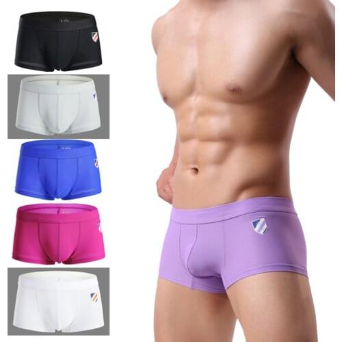 Brand Underwear Men Boxers Shorts Mesh Breathable Fabric Low-waist Sexy Mens Underwear Boxers Penis Pouch Casual Shorts
