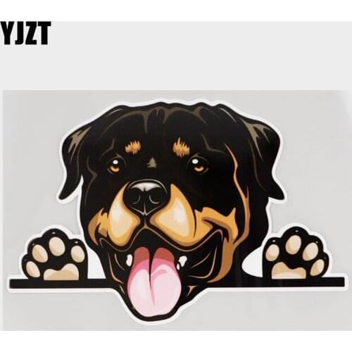 YJZT 15.6CM×10.1CM Rottweiler Peeking Dogs Waterproof Car Sticker PVC Decal 11C-0374