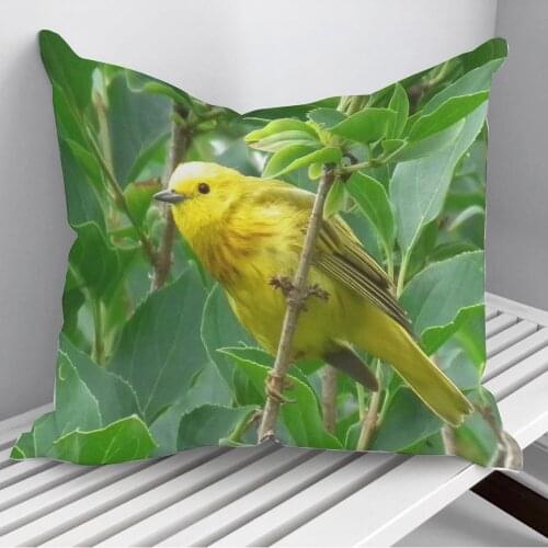 Birds Throw Pillows Cushion Cover On Sofa Home Decor 45*45cm 40*40cm Gift Pillowcase Cojines Dropshipping