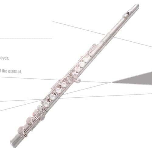 Weifang Rebon C key Student cheap flute