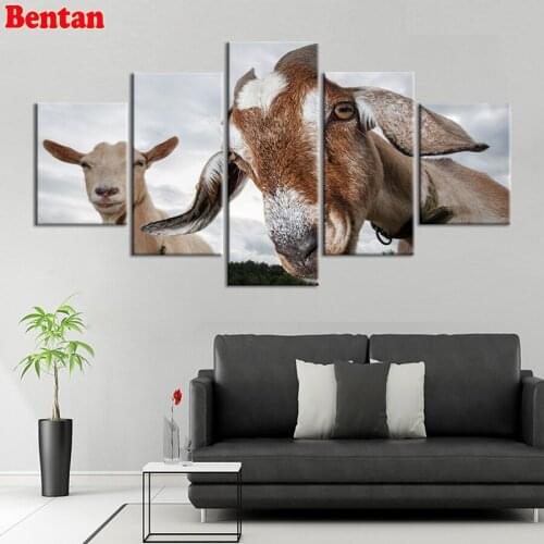 DIY diamond embroidery Animal sheep full square round diamond painting cross stitch kit rhinestones mosaic diamond 5 pcs/set