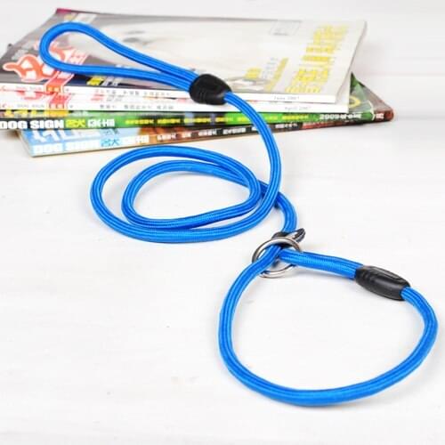 Small dog p-chain traction rope Teddy dog chain small medium-sized large dog golden hair walking dog rope pet products