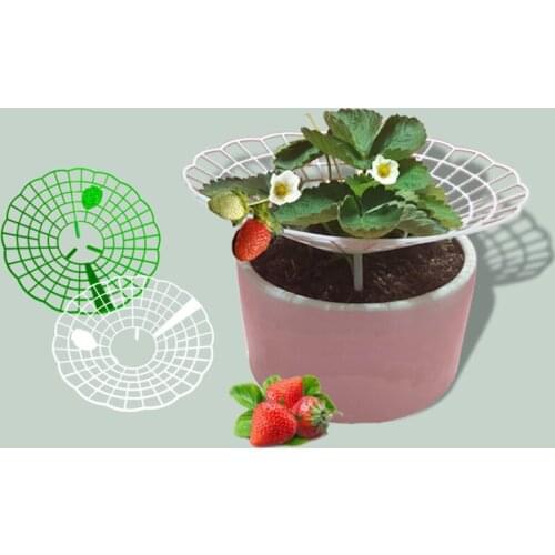 1/5/10 PCS Strawberry Stand Frame Holder Balcony Planting Rack Fruit Support Plant Flower Climbing Vine Pillar Gardening Stand