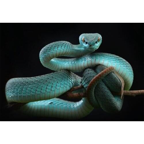 Full square/round 5d diy diamond painting Blue Rattlesnake pattern diamond embroidery rhinestones mosaic home decoration CV84