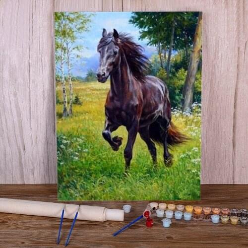 Animal Horse DIY Painting By Numbers Set Acrylic Paints 40*50 Canvas Painting Decoration Crafts For Adults Handicraft