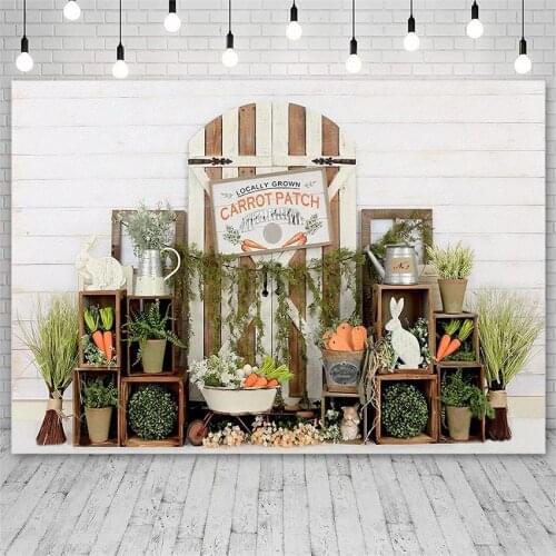 Avezano Easter Backdrops Spring Carrot Rabbit Bunny Baby Children Photography Backgrounds Photo Studio Photozone Photocall Decor