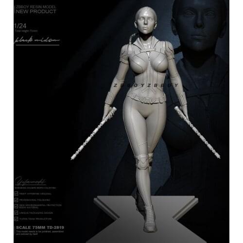 75mm 1/24 Resin beauty model kits DIY self-assembled TD-2819