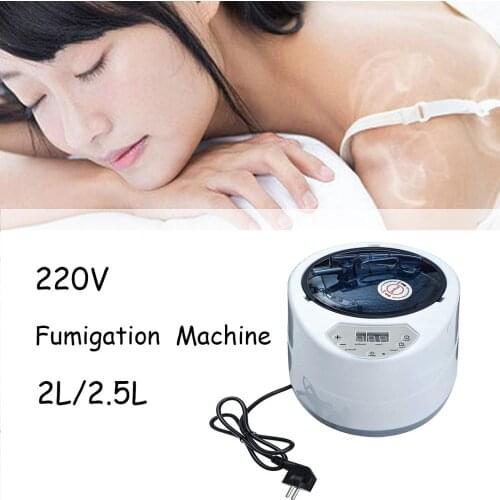 2.0/2.5L Sauna Generator For Sauna Spa Tent Body Therapy Fumigation Machine Home Steamer Therapy Suitable For Kitchen