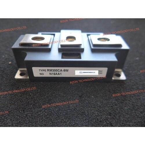 RM300CA-9W