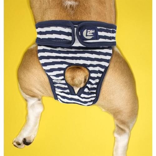 Washable Dog Striped Shorts Panties Menstruation Underwear Briefs Jumpsuit Pet Physiological Pants Diaper Sanitary For Dogs