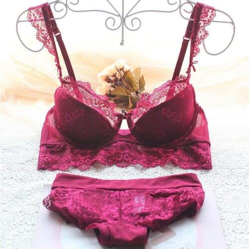 Fashion transparent sexy bra set plus size Women gauze embroidery ultra-thin underwear set lace brassiere and hollow out Panties