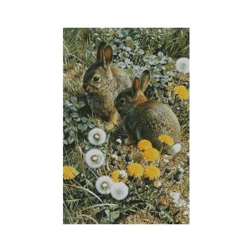 Couple of hares Top Quality Cross Stitch Kits Crafts 14CT Unprinted Counted Sewing kit Embroidered Art Handmade Home Decor