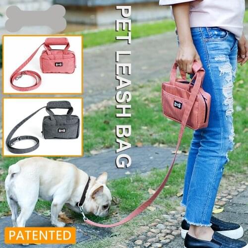 Pet Leash Bag Dog Puppy Walking Leash with Functional Carrier Bag Set for Poopbag or Treat Bag
