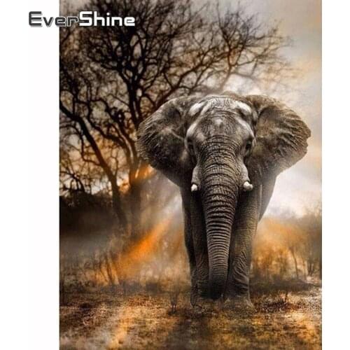 Evershine DIY Diamond Painting Animal Diamond Mosaic Elephant Full Drill Diamond Painting Beaded Cross Stitch Kit Full Set Art