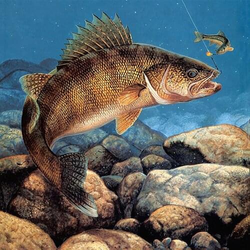 5d Diamond Painting Full Square/Round Drill Animal Fish Mosaic DIY Diamond Embroidery Fish Cross Stitch Home Decorative Craft