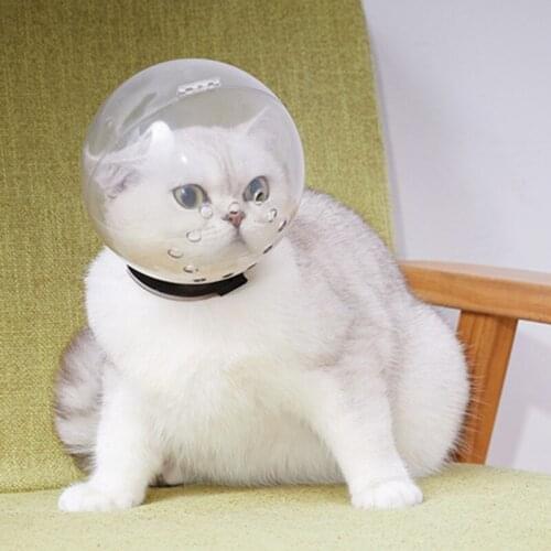 Pet Recovery Mask Anti-lick/bite Cat Plastic Cover Novelty Breathable Supplies Adjustable Transparent Breathable Cover