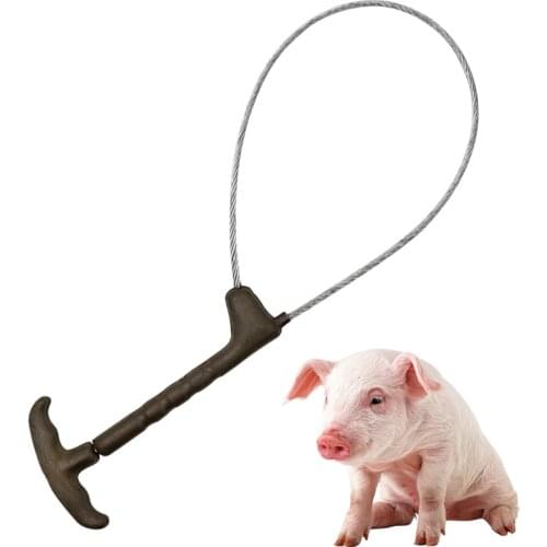 1 Pcs Pig Livestock Fixed Rope Wire Ropes Sleeve Stockbreeding Tools Veterinary Equipment Piglet Catcher Tools