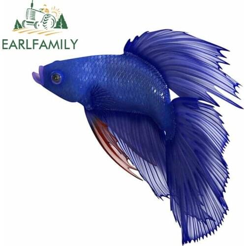 EARLFAMILY 13cm x 12.7cm For Female Betta Decal Creative Car Sticker Occlusion Scratch Surfboard Windows Graffiti Vinyl Car Wrap