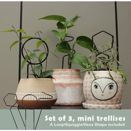 3 PCS Garden Support Stake Metal Garden Plants Pot Trellis Decorative Cane Vines Support Ring for Climbing Plants
