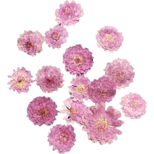 20x Pressed Dried Natural Flower Dry Leaves for DIY Crafts Bookmark Cards